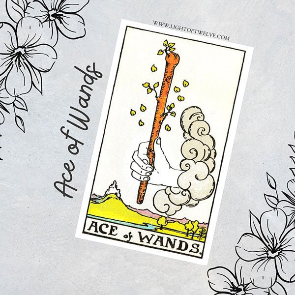 Ace of Wands Tarot Card Meaning | Minor Arcana | Light of Twelve 