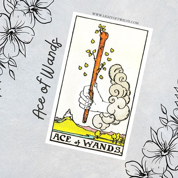 Ace Of Wands Tarot Card Meaning Minor Arcana Light Of Twelve ace-of-wands-tarot-card-meaning-minor-arcana-light-of-twelve