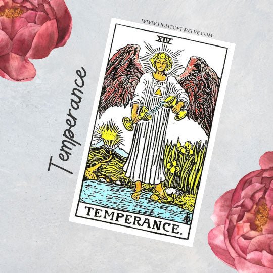 Temperance Tarot Card Meaning Major Arcana Light of Twelve Light Of Twelve