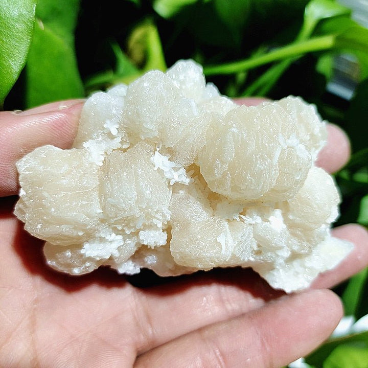 Apophyllite Specimens - Light Of Twelve