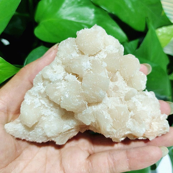 Apophyllite Specimens - Light Of Twelve