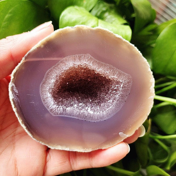 Banded Agate Druzy Geode - Light Of Twelve