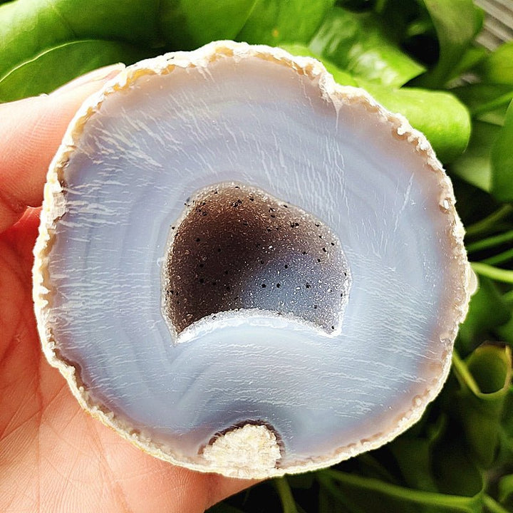 Banded Agate Druzy Geode - Light Of Twelve