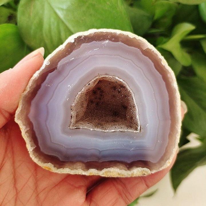 Banded Agate Druzy Geode - Light Of Twelve