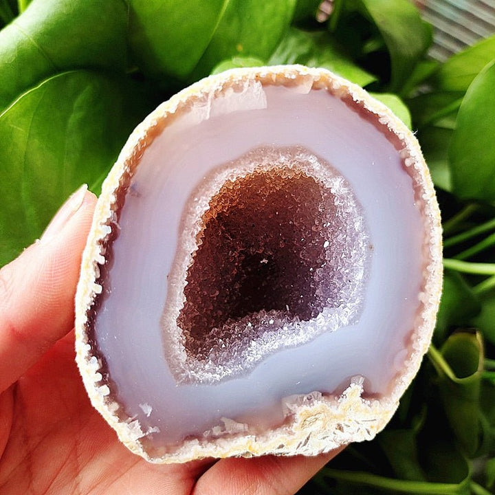 Banded Agate Druzy Geode - Light Of Twelve