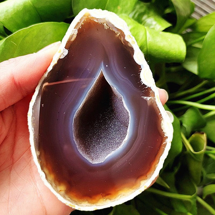 Banded Agate Druzy Geode - Light Of Twelve