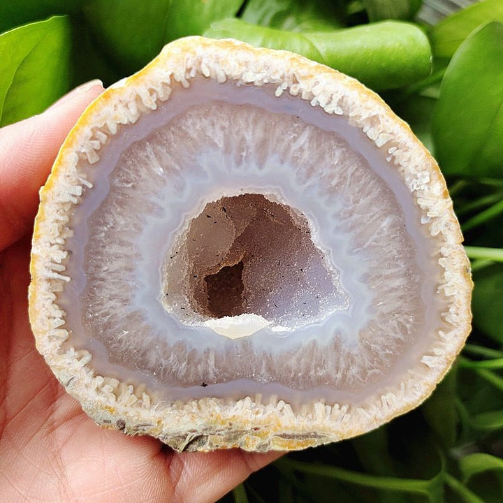 Banded Agate Druzy Geode - Light Of Twelve