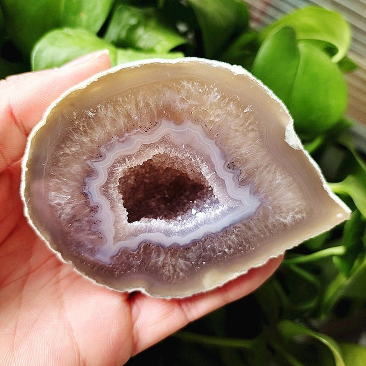 Banded Agate Druzy Geode - Light Of Twelve