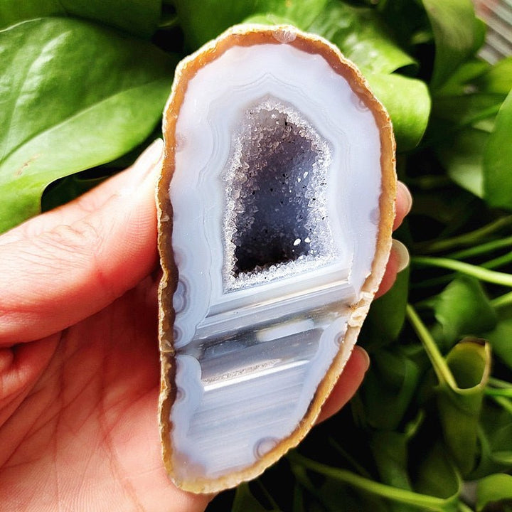 Banded Agate Druzy Geode - Light Of Twelve