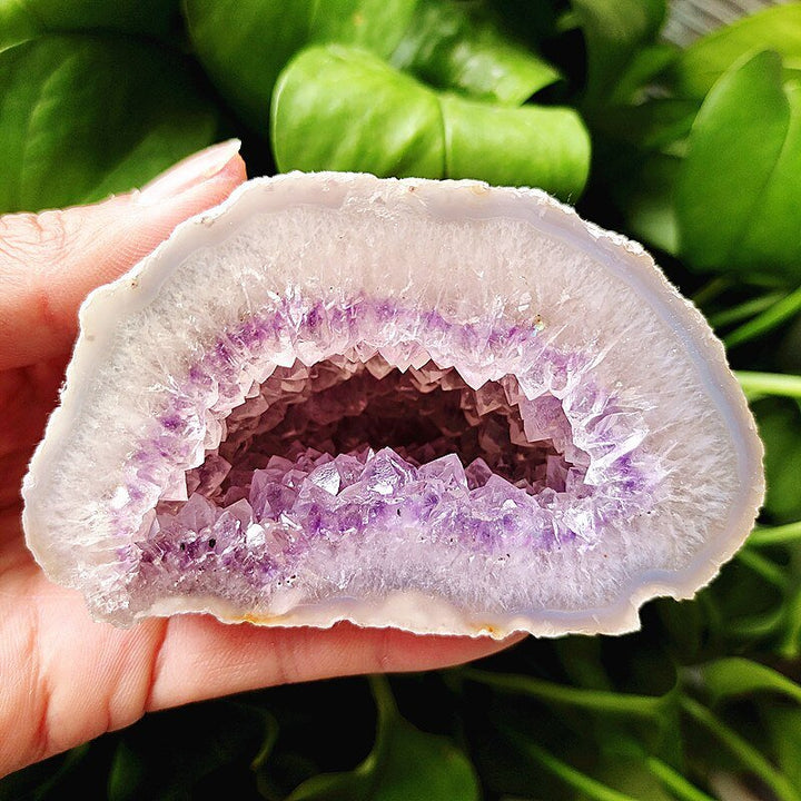 Banded Agate Druzy Geode - Light Of Twelve