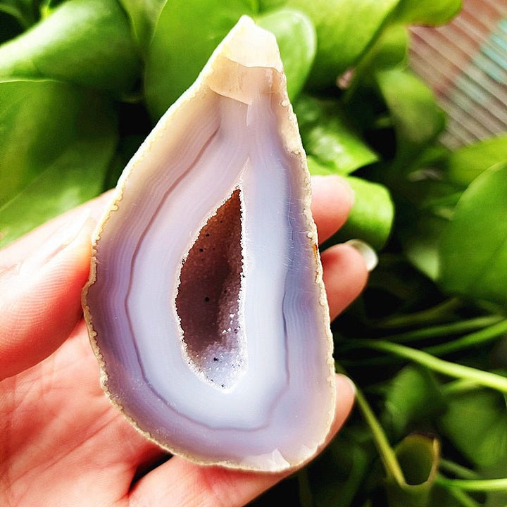 Banded Agate Druzy Geode - Light Of Twelve