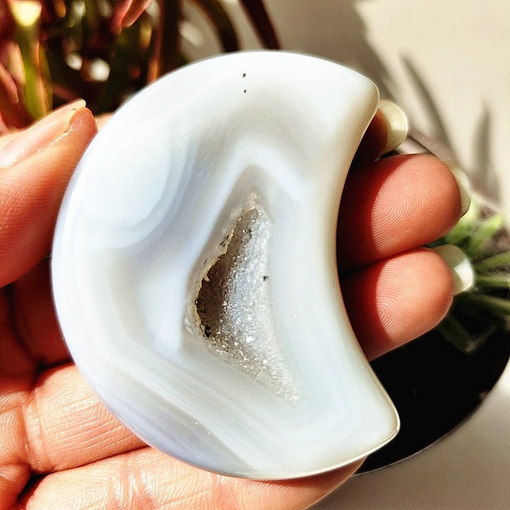 Banded Agate Druzy Moons - Light Of Twelve