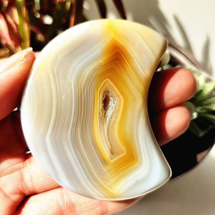 Banded Agate Druzy Moons - Light Of Twelve