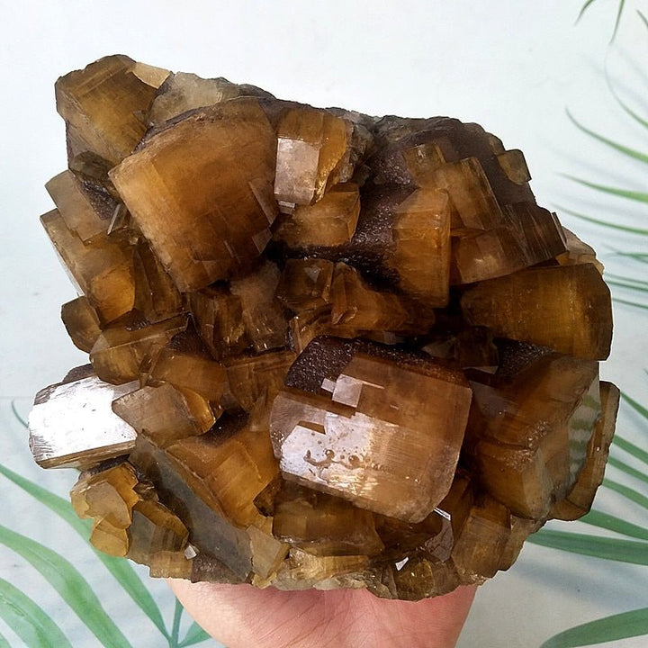 Barite Specimen - Light Of Twelve