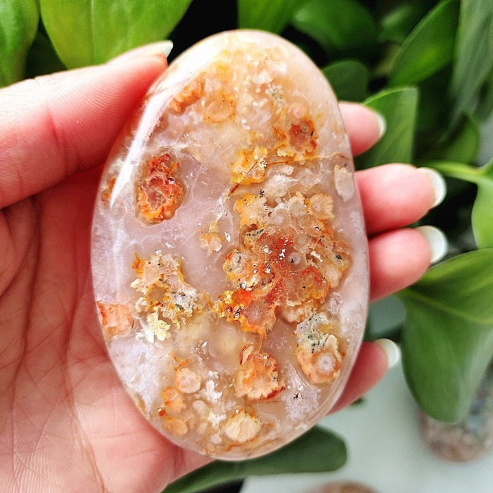 Cherry Blossom Agate Palm Stones - Light Of Twelve