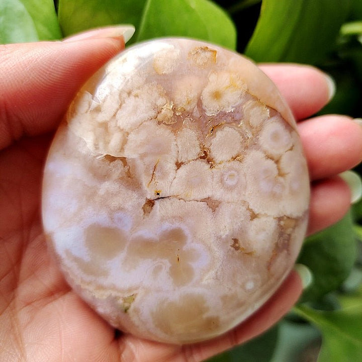 Cherry Blossom Agate Palm Stones - Light Of Twelve