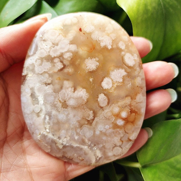 Cherry Blossom Agate Palm Stones - Light Of Twelve