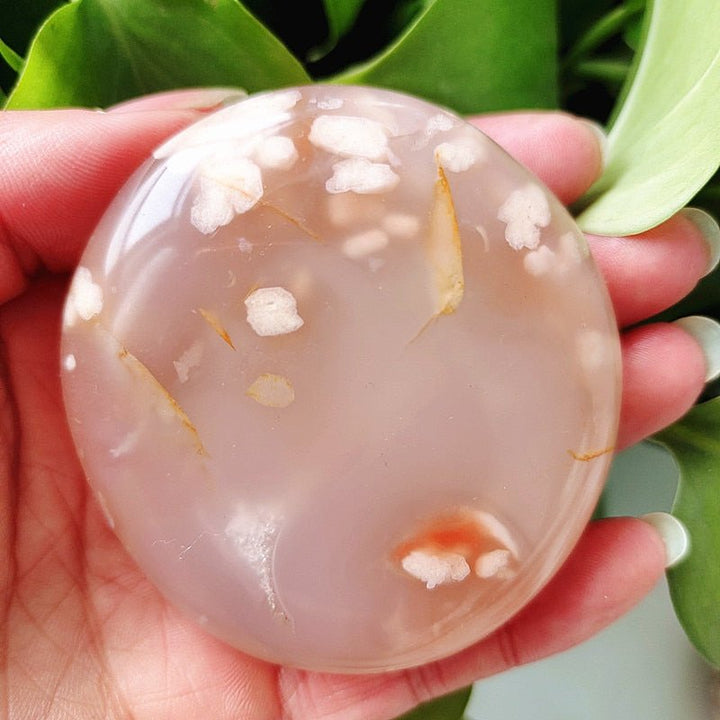 Cherry Blossom Agate Palm Stones - Light Of Twelve