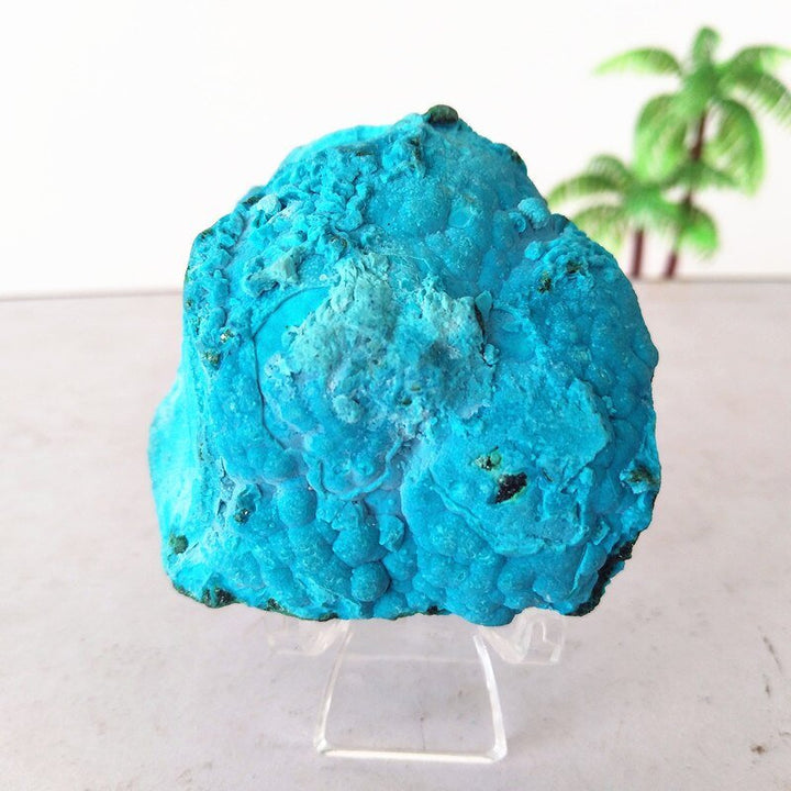 Chrysocolla Specimens - Light Of Twelve