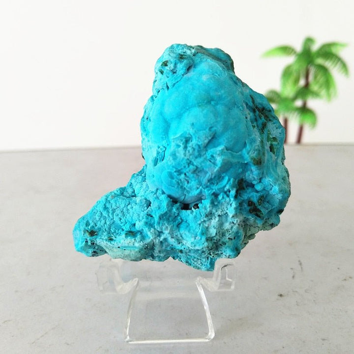 Chrysocolla Specimens - Light Of Twelve