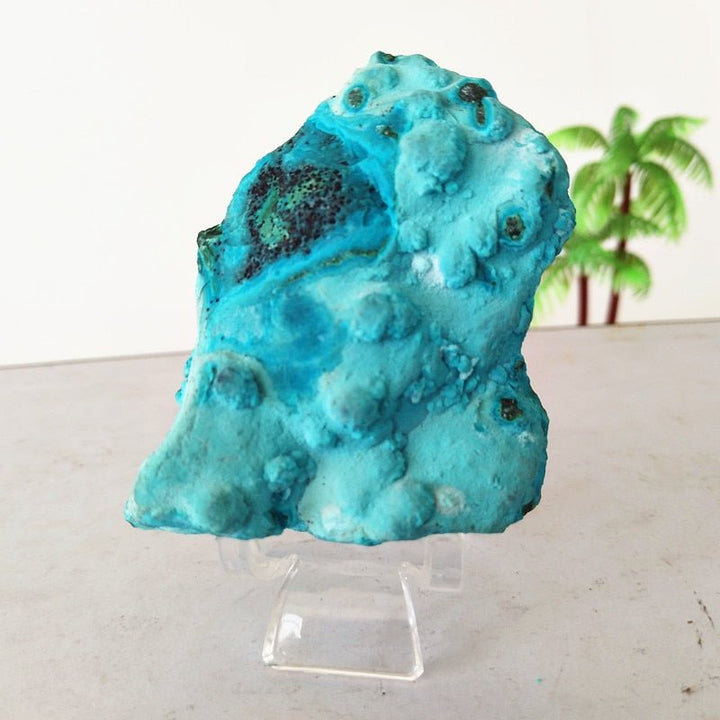 Chrysocolla Specimens - Light Of Twelve