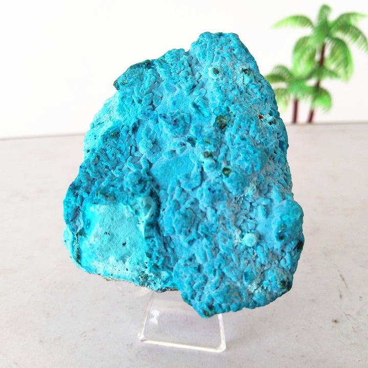 Chrysocolla Specimens - Light Of Twelve