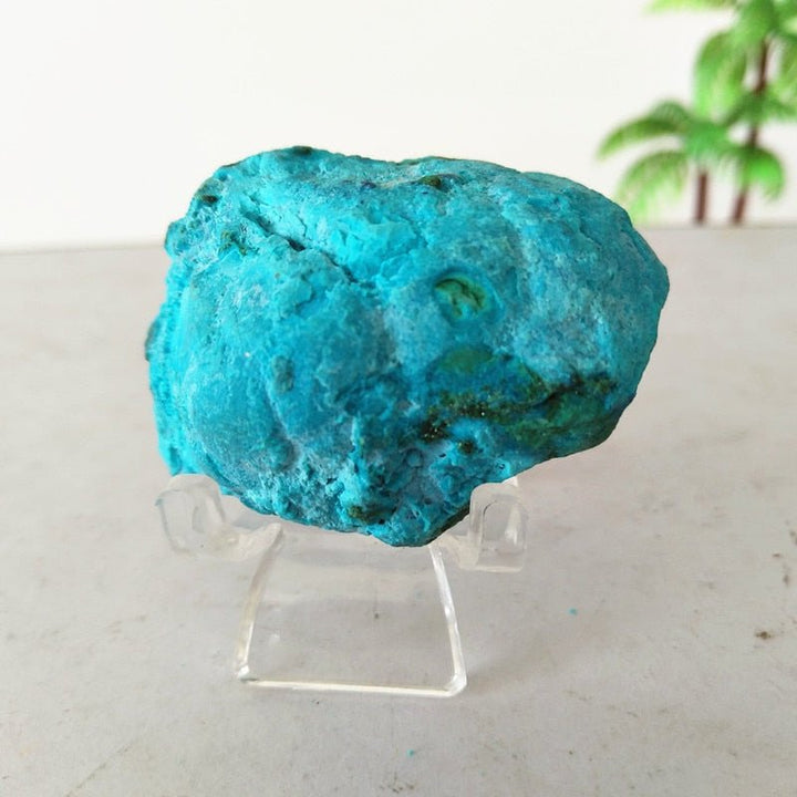 Chrysocolla Specimens - Light Of Twelve