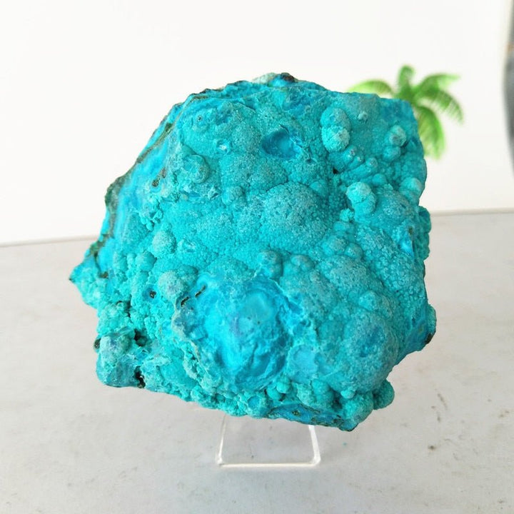 Chrysocolla Specimens - Light Of Twelve