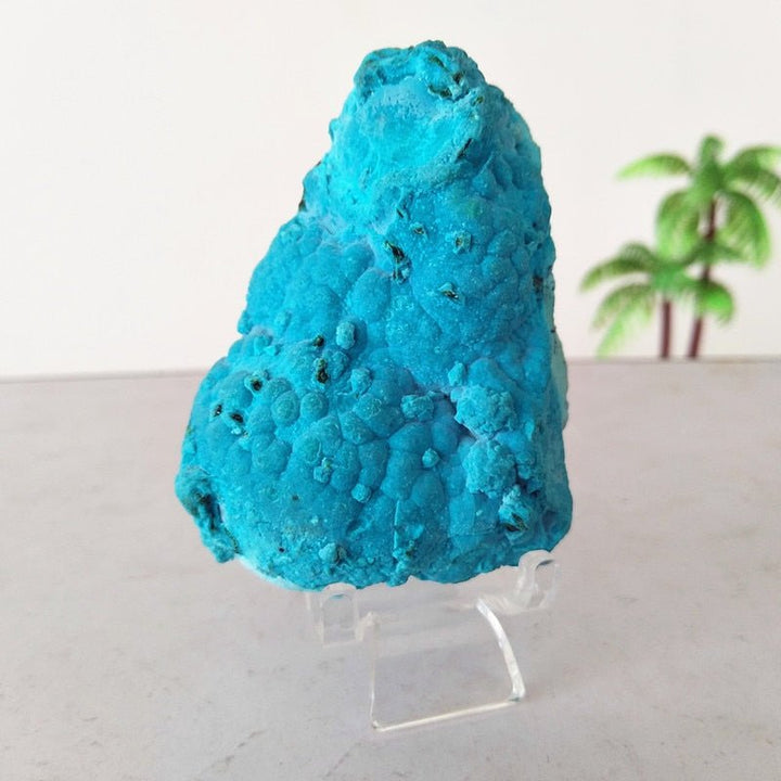 Chrysocolla Specimens - Light Of Twelve