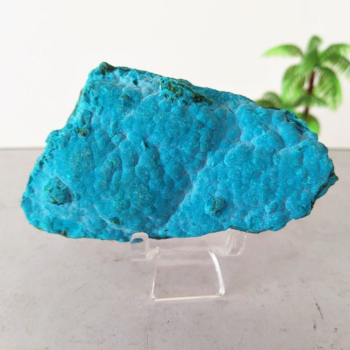 Chrysocolla Specimens - Light Of Twelve