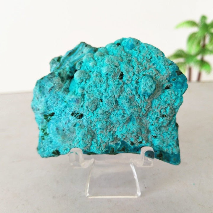 Chrysocolla Specimens - Light Of Twelve