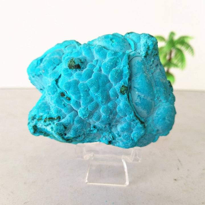 Chrysocolla Specimens - Light Of Twelve