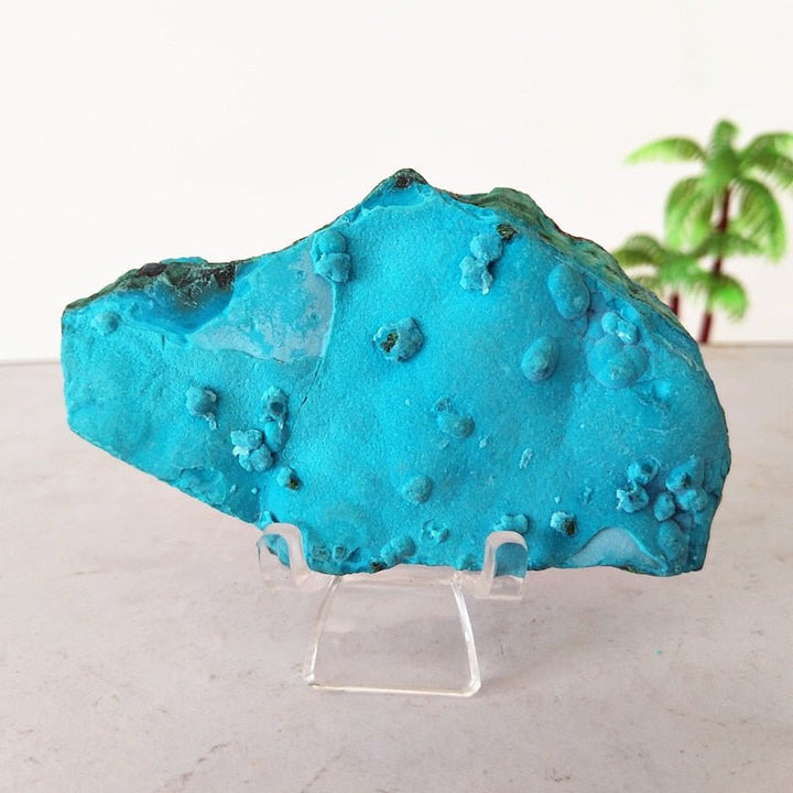 Chrysocolla Specimens - Light Of Twelve