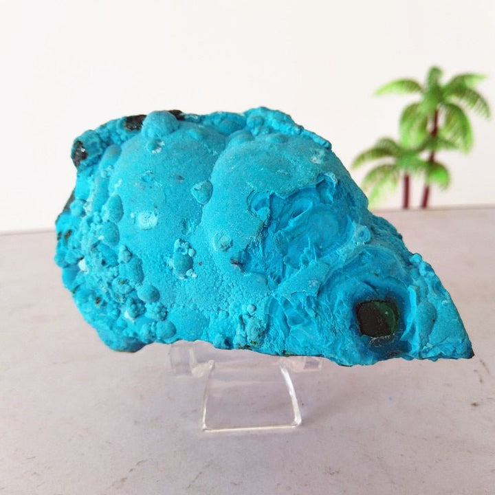 Chrysocolla Specimens - Light Of Twelve