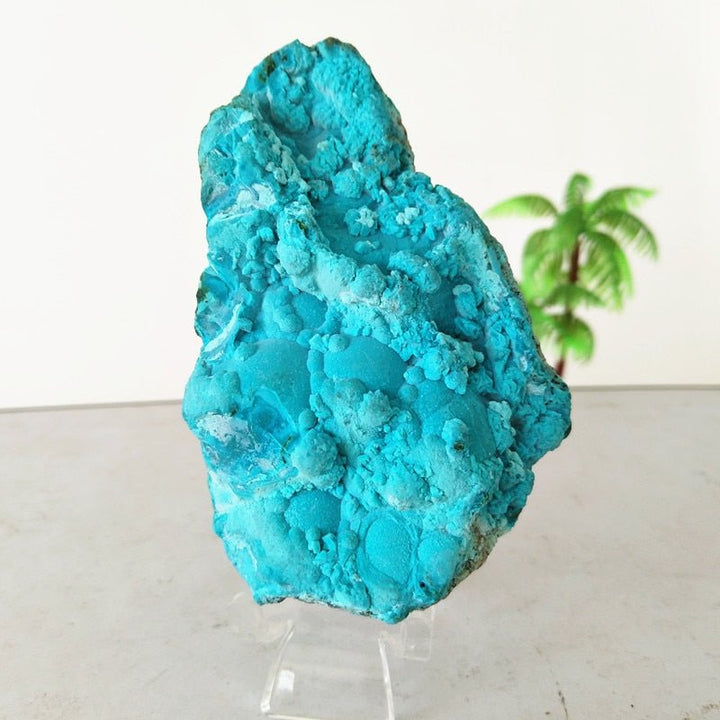 Chrysocolla Specimens - Light Of Twelve