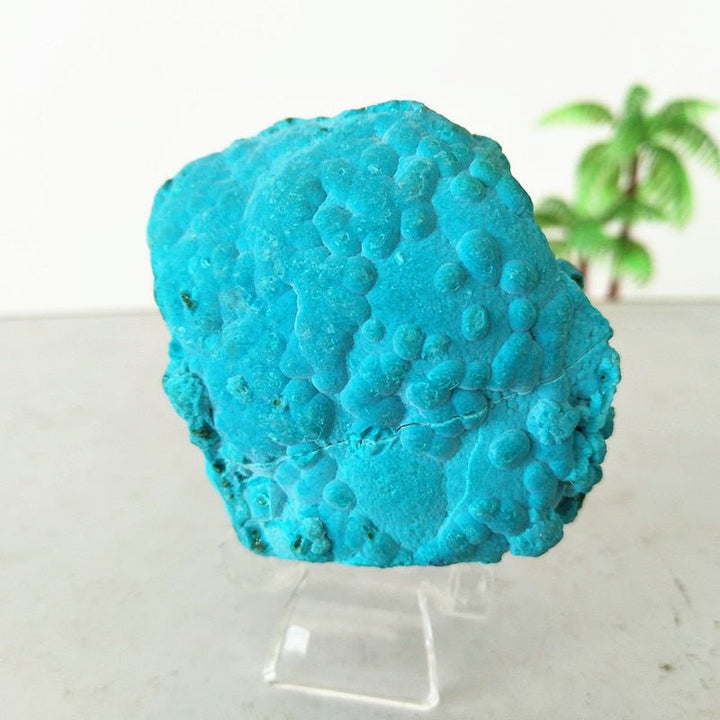 Chrysocolla Specimens - Light Of Twelve