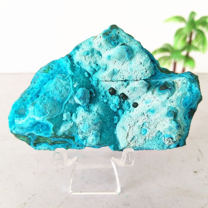 Chrysocolla Specimens - Light Of Twelve