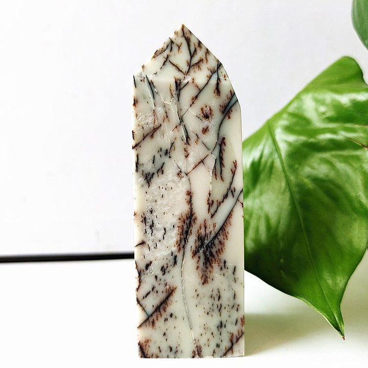 Dendritic Opal Crystal Points - Light Of Twelve