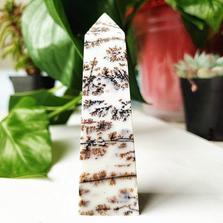 Dendritic Opal Points - Light Of Twelve