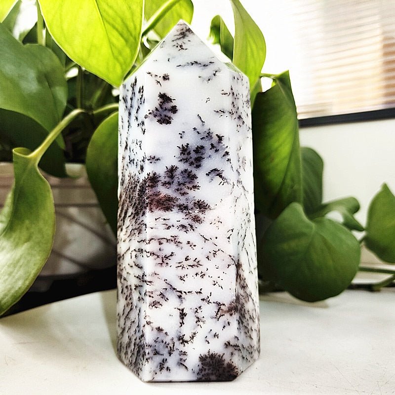 Dendritic Green Opal Tower with Druzy | Green orders Opal | Dendrites | Druse