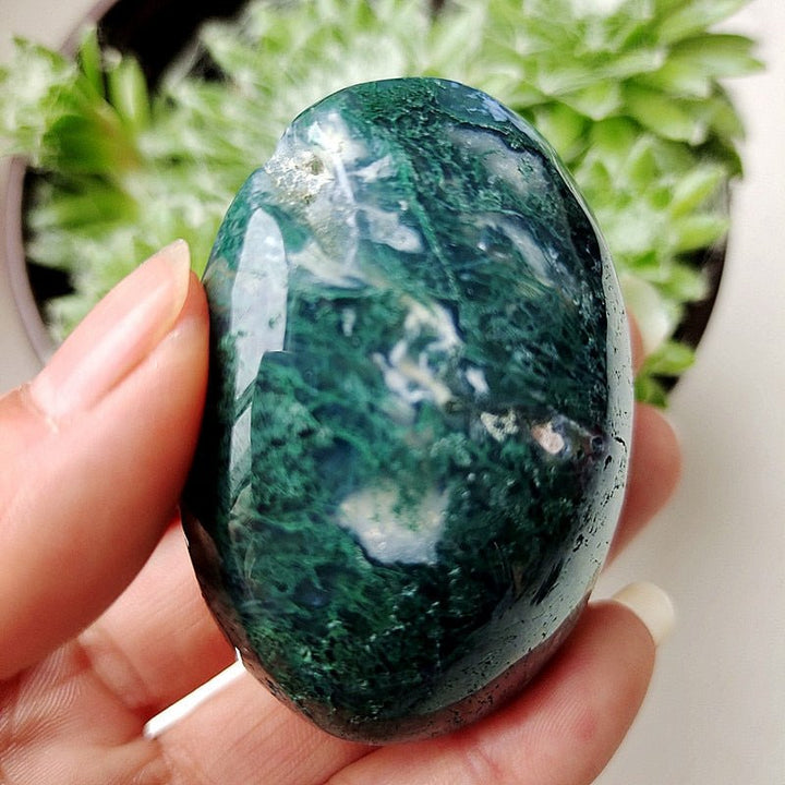 Druzy Moss Agate Palm Stones - Light Of Twelve