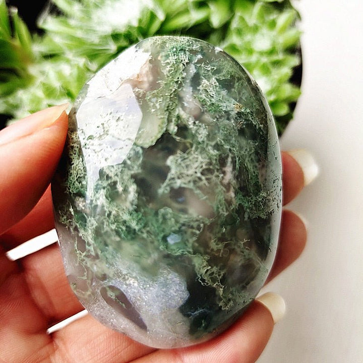 Druzy Moss Agate Palm Stones - Light Of Twelve