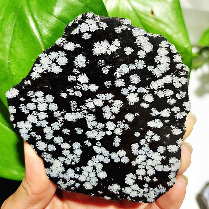 Elegant Snowflake Obsidian Slab for Balance & Serenity - Light Of Twelve
