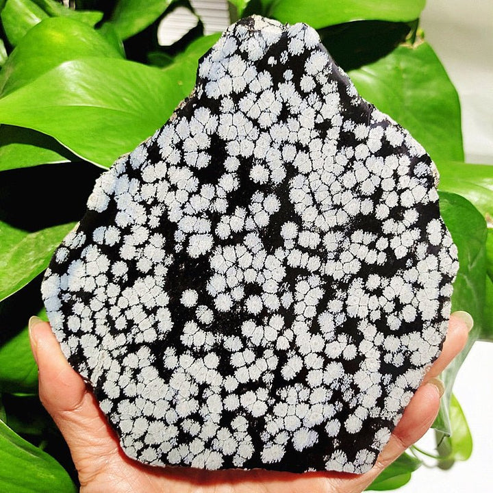 Elegant Snowflake Obsidian Slab for Balance & Serenity - Light Of Twelve