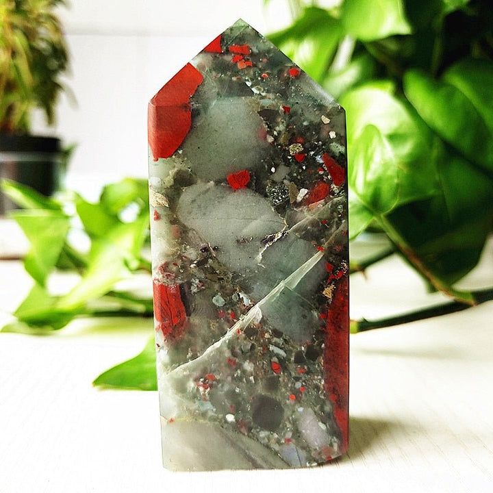 Enchanting Bloodstone Crystal Points for Courage & Energy - Light Of Twelve