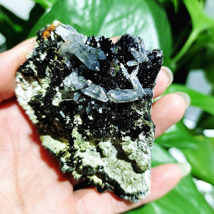 Epidote Specimens - Light Of Twelve