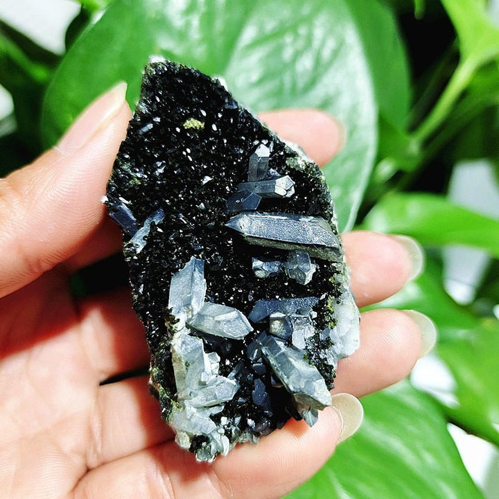 Epidote Specimens - Light Of Twelve