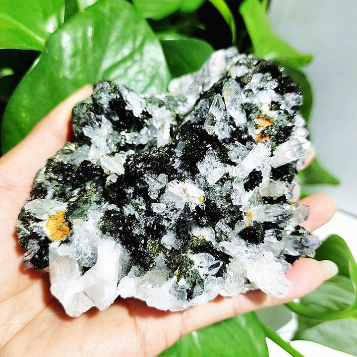 Epidote Specimens - Light Of Twelve