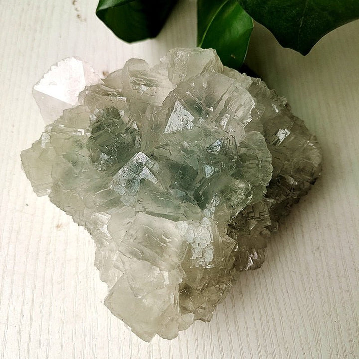 Green Fluorite Crystal Specimens - Light Of Twelve