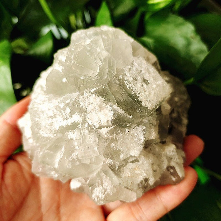 Green Fluorite Crystal Specimens - Light Of Twelve